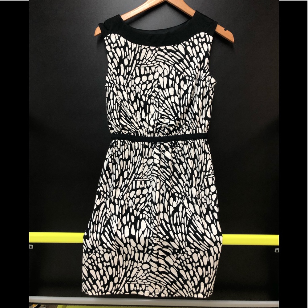 Ann Taylor Loft dress